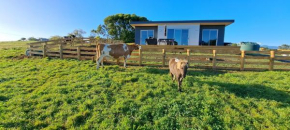 Country Comfort - only 10 minutes from Hamilton CBD